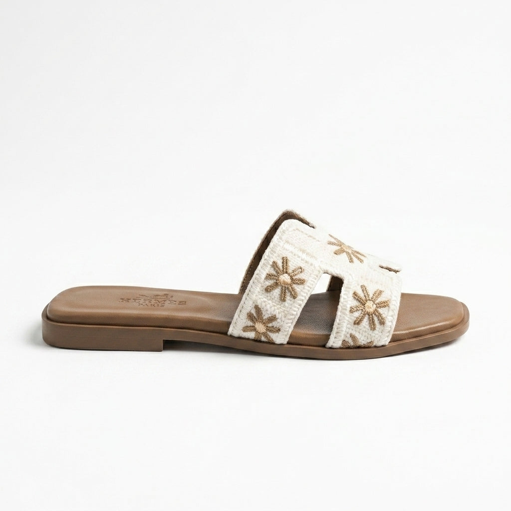 Re 22 - H Flat Slipper Tericot