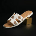Re 22 - H Flat Slipper Tericot